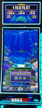 Descubra o Mundo do Cassino Online com 4444bet